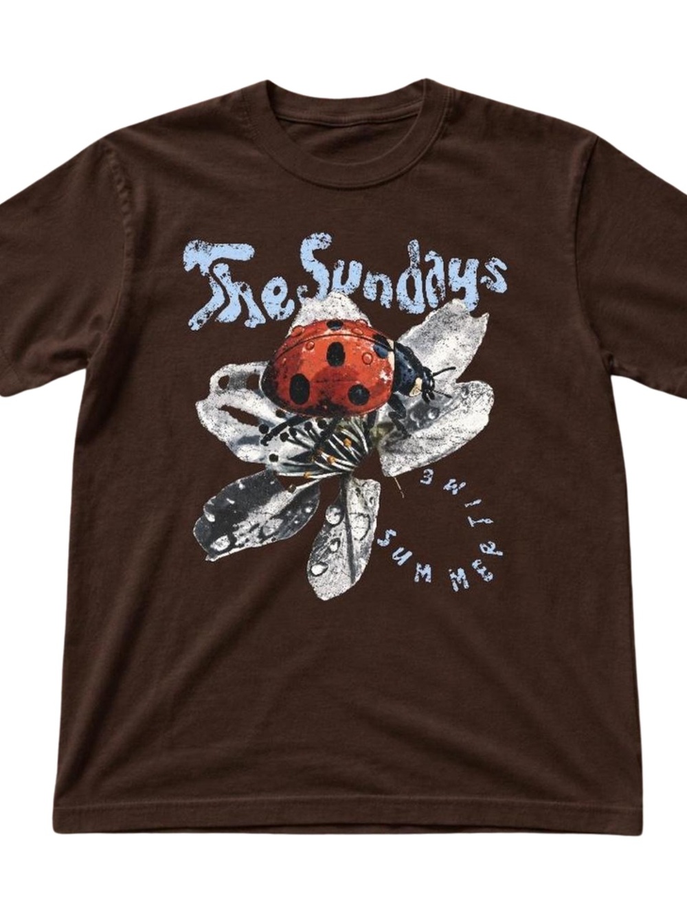 Gildan Brown Tee with Red Ladybug Graphic, Gift For Him, For Her